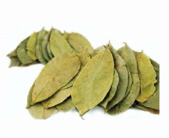 Guanábana ( Soursop leaves )