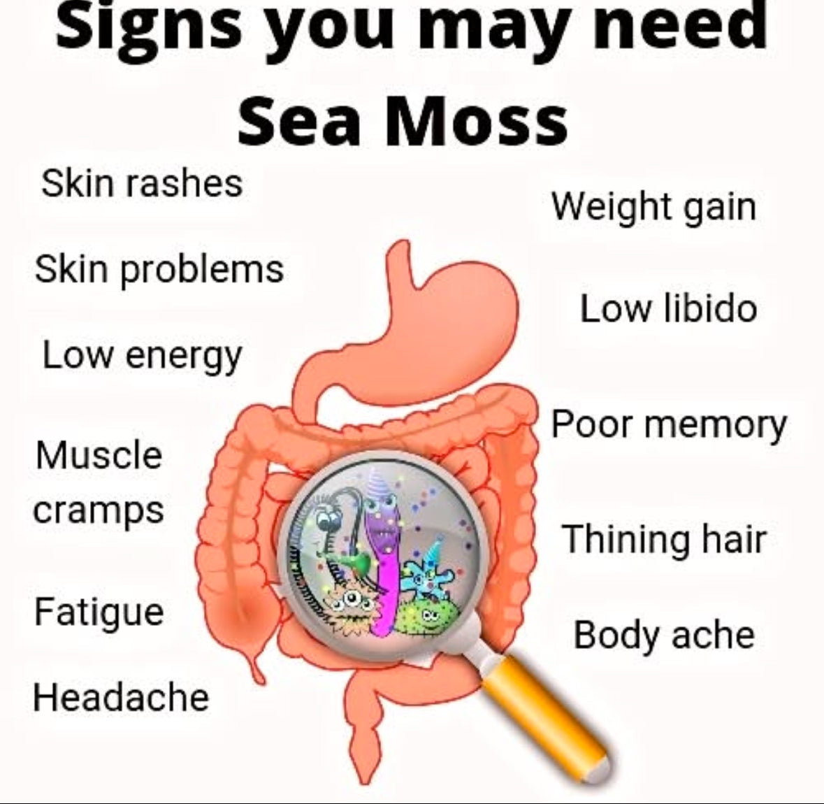 Sea Moss Gel