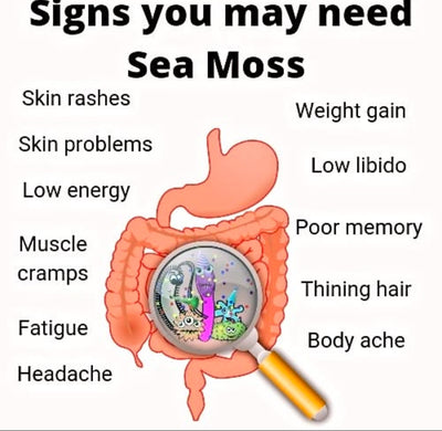 Sea Moss Gel