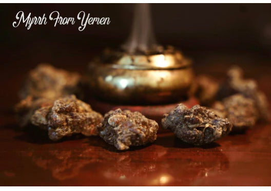 Starter Pack Affiliate