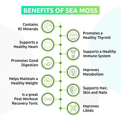 Sea Moss and Ginger Lemonades